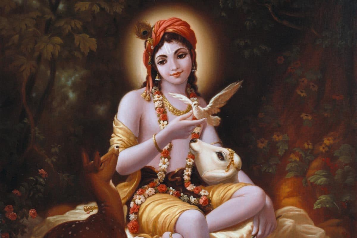 Krishna Consciousness