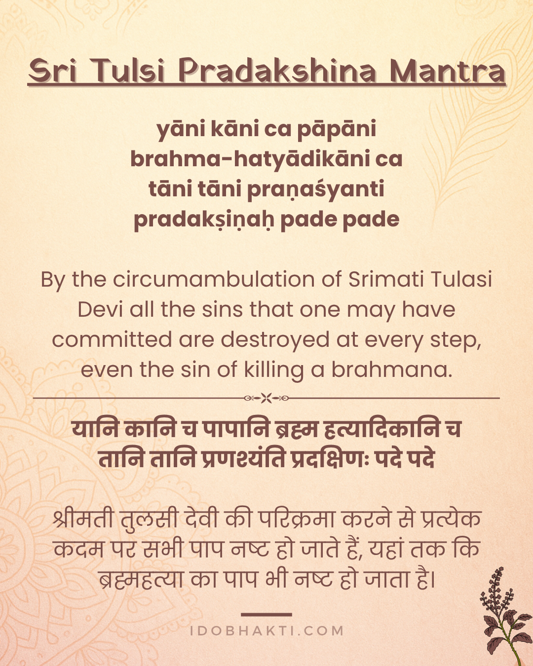 Tulasi Darshan